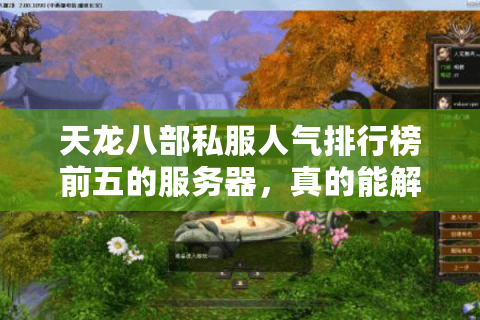 天龙八部私服人气排行榜前五的服务器,真的能解决排队困扰吗? 天龙八部私服人气排行榜前五的服务器,真的能解决排队困扰吗?