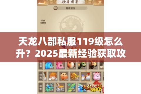 天龙八部私服119级怎么升?2025最新经验获取攻略解析 天龙八部私服119级怎么升?2025最新经验获取攻略解析