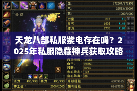 天龙八部私服紫电存在吗？2025年私服隐藏神兵获取攻略