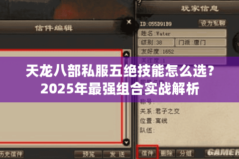 天龙八部私服五绝技能怎么选?2025年最强组合实战解析 天龙八部私服五绝技能怎么选?2025年最强组合实战解析
