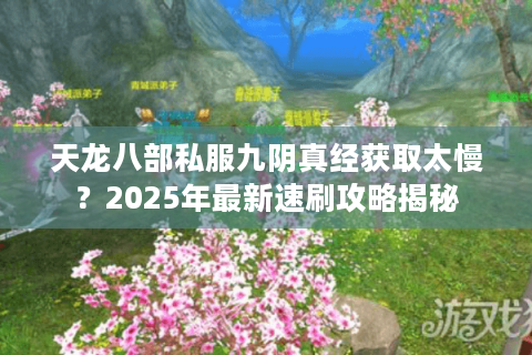 天龙八部私服九阴真经获取太慢?2025年最新速刷攻略揭秘 天龙八部私服九阴真经获取太慢?2025年最新速刷攻略揭秘