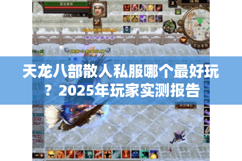 天龙八部散人私服哪个最好玩?2025年玩家实测报告 天龙八部散人私服哪个最好玩?2025年玩家实测报告