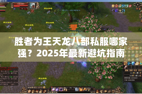 胜者为王天龙八部私服哪家强?2025年最新避坑指南 胜者为王天龙八部私服哪家强?2025年最新避坑指南