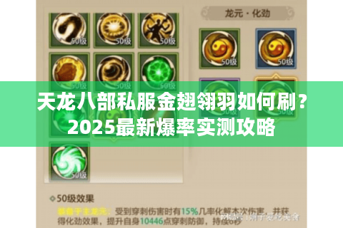 天龙八部私服金翅翎羽如何刷?2025最新爆率实测攻略 天龙八部私服金翅翎羽如何刷?2025最新爆率实测攻略