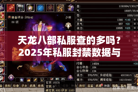 天龙八部私服查的多吗？2025年私服封禁数据与玩家避坑指南