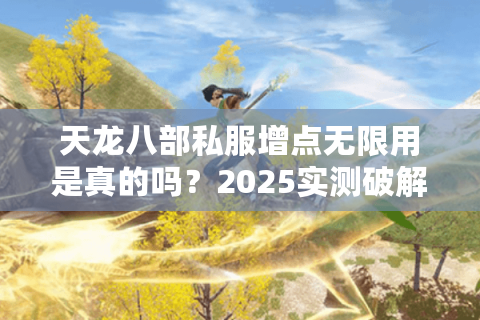 天龙八部私服增点无限用是真的吗？2025实测破解三大隐藏风险