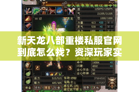 新天龙八部重楼私服官网到底怎么找?资深玩家实测避坑指南 新天龙八部重楼私服官网到底怎么找?资深玩家实测避坑指南