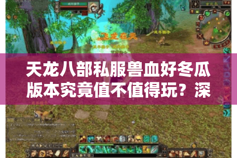 天龙八部私服兽血好冬瓜版本究竟值不值得玩?深度解析玩家真实需求 天龙八部私服兽血好冬瓜版本究竟值不值得玩?深度解析玩家真实需求
