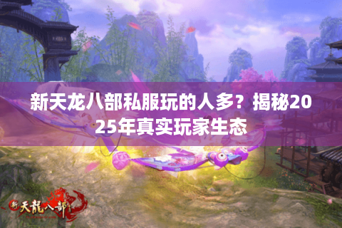新天龙八部私服玩的人多?揭秘2025年真实玩家生态 新天龙八部私服玩的人多?揭秘2025年真实玩家生态