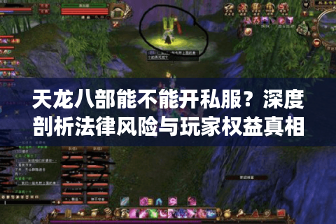 天龙八部能不能开私服?深度剖析法律风险与玩家权益真相 天龙八部能不能开私服?深度剖析法律风险与玩家权益真相