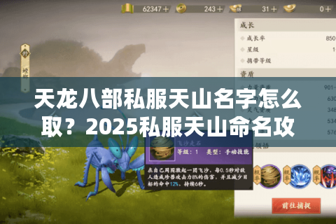 天龙八部私服天山名字怎么取?2025私服天山命名攻略 天龙八部私服天山名字怎么取?2025私服天山命名攻略