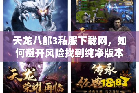 天龙八部3私服下载网，如何避开风险找到纯净版本？
