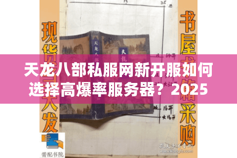 天龙八部私服网新开服如何选择高爆率服务器？2025年实测避坑指南
