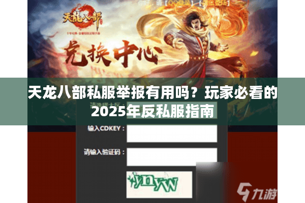 天龙八部私服举报有用吗？玩家必看的2025年反私服指南