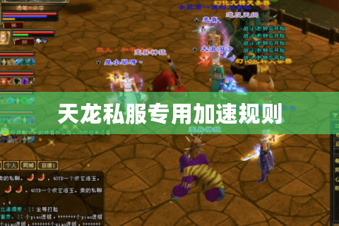 天龙私服专用加速规则