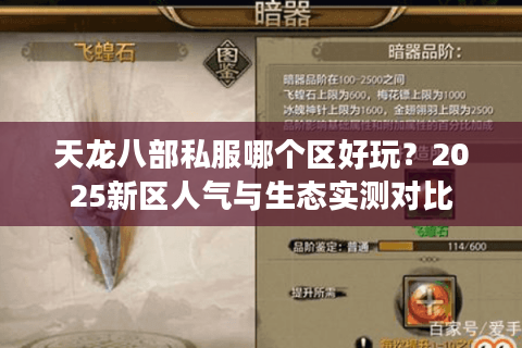 天龙八部私服哪个区好玩？2025新区人气与生态实测对比