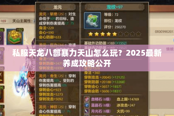 私服天龙八部暴力天山怎么玩?2025最新养成攻略公开 私服天龙八部暴力天山怎么玩?2025最新养成攻略公开