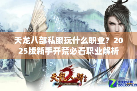 天龙八部私服玩什么职业?2025版新手开荒必看职业解析 天龙八部私服玩什么职业?2025版新手开荒必看职业解析