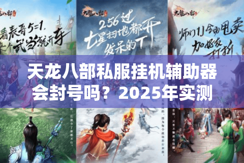 天龙八部私服挂机辅助器会封号吗?2025年实测防封指南 天龙八部私服挂机辅助器会封号吗?2025年实测防封指南