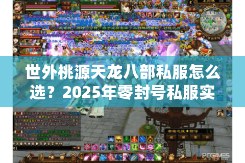 世外桃源天龙八部私服怎么选?2025年零封号私服实测报告 世外桃源天龙八部私服怎么选?2025年零封号私服实测报告
