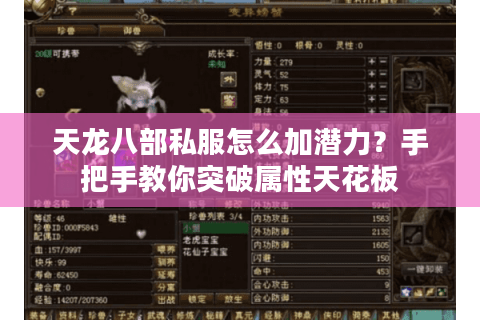 天龙八部私服怎么加潜力?手把手教你突破属性天花板 天龙八部私服怎么加潜力?手把手教你突破属性天花板