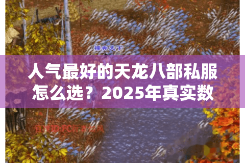 人气最好的天龙八部私服怎么选?2025年真实数据揭秘 人气最好的天龙八部私服怎么选?2025年真实数据揭秘