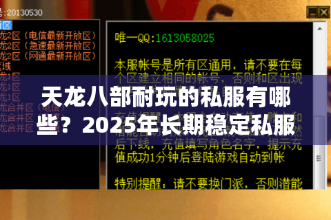 天龙八部耐玩的私服有哪些？2025年长期稳定私服测评推荐