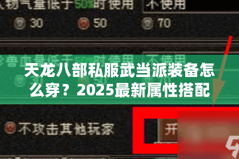 天龙八部私服武当派装备怎么穿？2025最新属性搭配实战解析