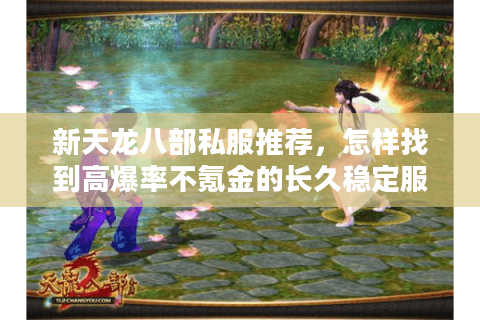 新天龙八部私服推荐,怎样找到高爆率不氪金的长久稳定服? 新天龙八部私服推荐,怎样找到高爆率不氪金的长久稳定服?