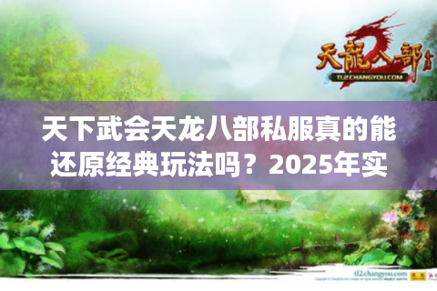 天下武会天龙八部私服真的能还原经典玩法吗?2025年实测报告 天下武会天龙八部私服真的能还原经典玩法吗?2025年实测报告