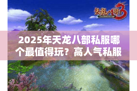2025年天龙八部私服哪个最值得玩？高人气私服推荐及避坑指南