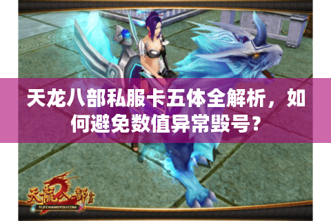 天龙八部私服卡五体全解析，如何避免数值异常毁号？