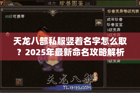 天龙八部私服竖着名字怎么取?2025年最新命名攻略解析 天龙八部私服竖着名字怎么取?2025年最新命名攻略解析