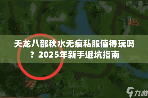 天龙八部秋水无痕私服值得玩吗?2025年新手避坑指南 天龙八部秋水无痕私服值得玩吗?2025年新手避坑指南