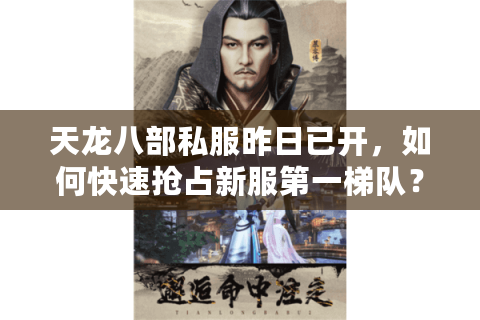天龙八部私服昨日已开,如何快速抢占新服第一梯队? 天龙八部私服昨日已开,如何快速抢占新服第一梯队?