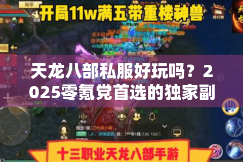 天龙八部私服好玩吗？2025零氪党首选的独家副本曝光