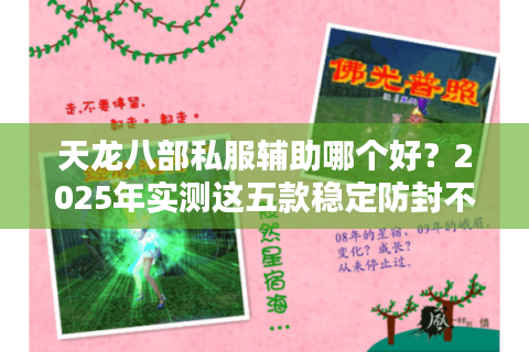 天龙八部私服辅助哪个好？2025年实测这五款稳定防封不氪金