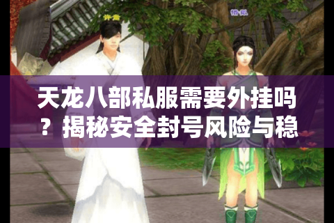 天龙八部私服需要外挂吗?揭秘安全封号风险与稳定玩法技巧 天龙八部私服需要外挂吗?揭秘安全封号风险与稳定玩法技巧