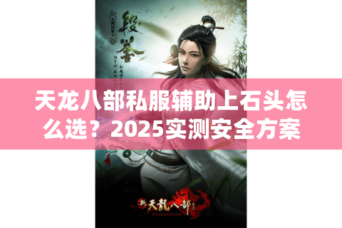 天龙八部私服辅助上石头怎么选?2025实测安全方案揭秘 天龙八部私服辅助上石头怎么选?2025实测安全方案揭秘