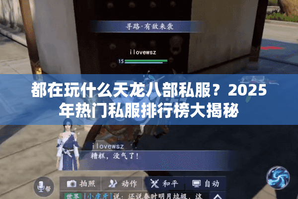 都在玩什么天龙八部私服?2025年热门私服排行榜大揭秘 都在玩什么天龙八部私服?2025年热门私服排行榜大揭秘