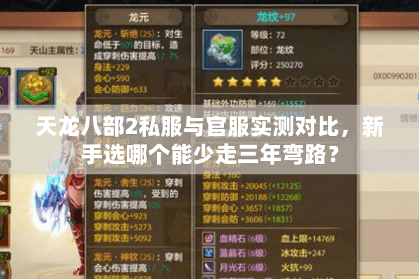 天龙八部2私服与官服实测对比,新手选哪个能少走三年弯路? 天龙八部2私服与官服实测对比,新手选哪个能少走三年弯路?