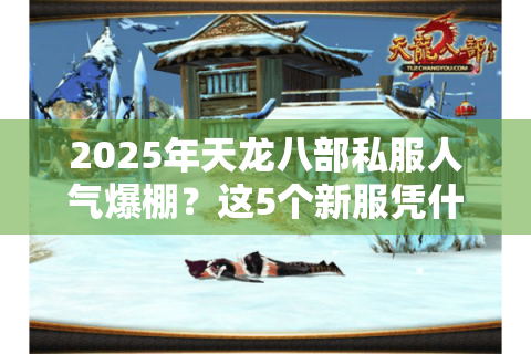 2025年天龙八部私服人气爆棚？这5个新服凭什么让玩家通宵排队