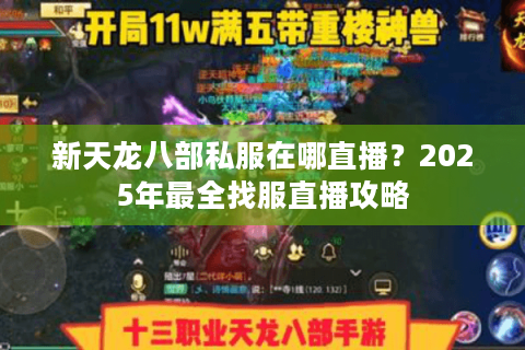 新天龙八部私服在哪直播?2025年最全找服直播攻略 新天龙八部私服在哪直播?2025年最全找服直播攻略