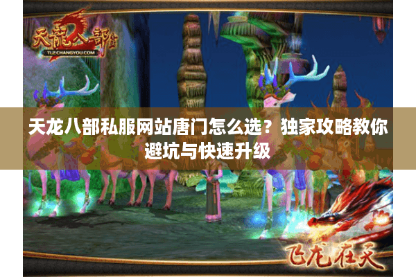 天龙八部私服网站唐门怎么选?独家攻略教你避坑与快速升级 天龙八部私服网站唐门怎么选?独家攻略教你避坑与快速升级
