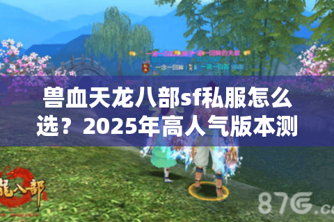 兽血天龙八部sf私服怎么选？2025年高人气版本测评