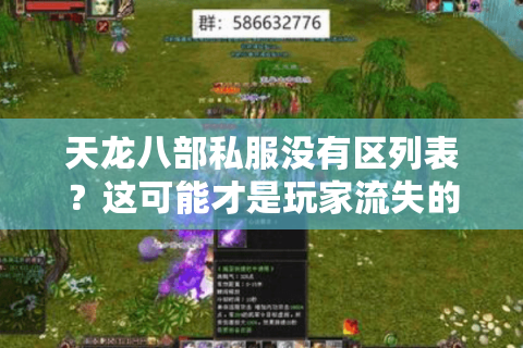 天龙八部私服没有区列表?这可能才是玩家流失的真相 天龙八部私服没有区列表?这可能才是玩家流失的真相