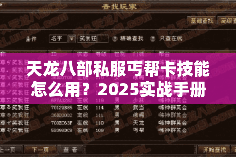 天龙八部私服丐帮卡技能怎么用?2025实战手册教你三招制霸 天龙八部私服丐帮卡技能怎么用?2025实战手册教你三招制霸