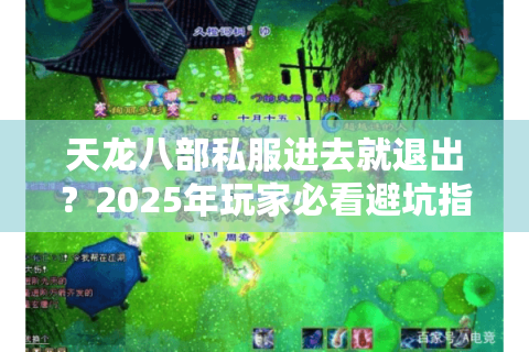 天龙八部私服进去就退出?2025年玩家必看避坑指南 天龙八部私服进去就退出?2025年玩家必看避坑指南