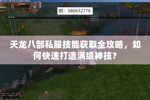 天龙八部私服技能获取全攻略,如何快速打造满级神技? 天龙八部私服技能获取全攻略,如何快速打造满级神技?