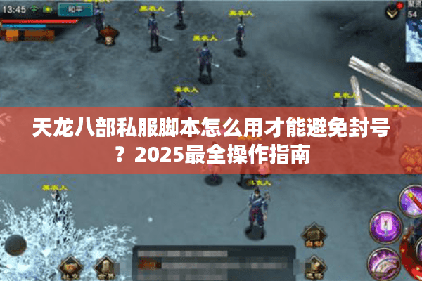天龙八部私服脚本怎么用才能避免封号?2025最全操作指南 天龙八部私服脚本怎么用才能避免封号?2025最全操作指南